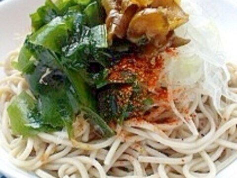 新玉ネギのぶっかけ蕎麦(Qちゃん入り)